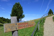 seiser alm puflatsch rundweg hexenbaenke