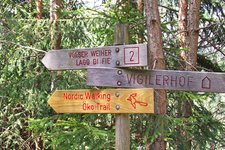 nordic walking trail voels