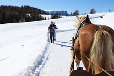 RS Skigebiet Seiser Alm Pferd Kutsche Schnee