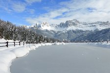 RS wuhnleger weiher tiers winter blick auf rosengarten