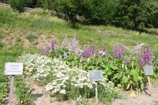 RS kastelruth st oswald pflegerhof bio kraeuteranbau