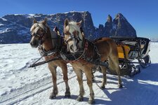 kutschenfahrt seiser alm (C)martin gasslitter