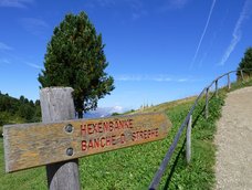 seiser alm puflatsch rundweg hexenbaenke