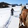 RS Skigebiet Seiser Alm Pferd Kutsche Schnee