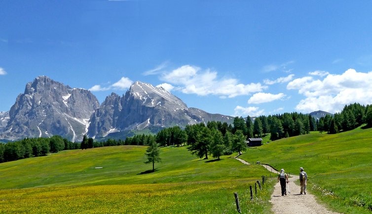 seiser alm steger weg