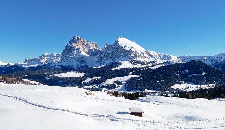 seiser alm winter langkofel plattkofel schnee huetten