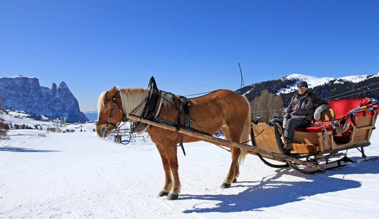 Skigebiet Seiser Alm Pferd Kutsche Schnee Schlern