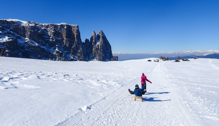 seiser alm person rodel schlern winter