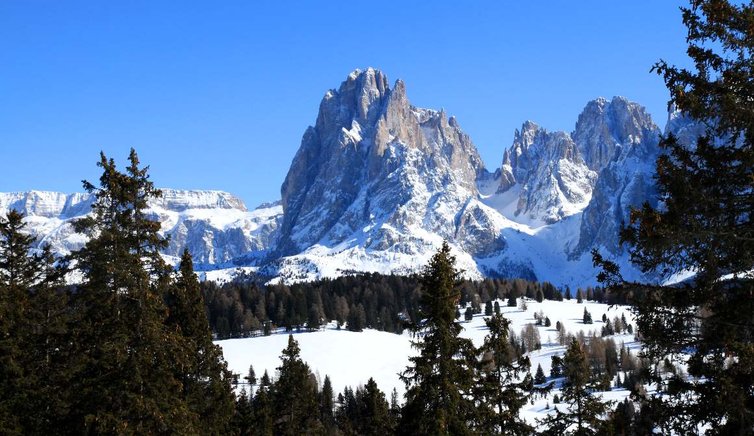 naturpark rosengarten schlern winter EMS