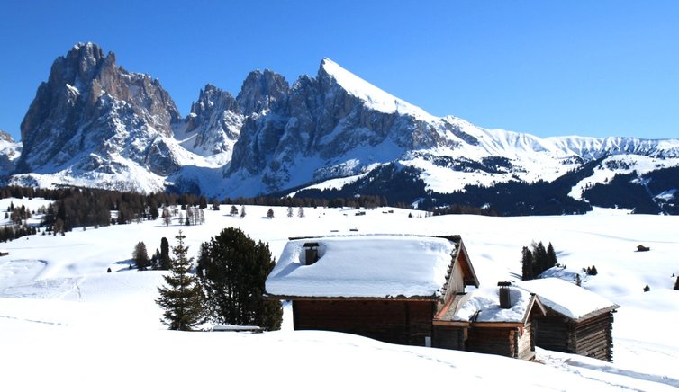 plattkofel langkofel seiser alm EMS