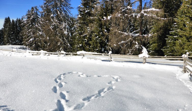 RS schnee herz