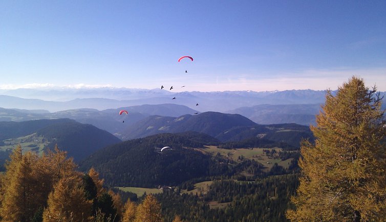 RS Paragleiten Aussicht Rosengarten Latemar