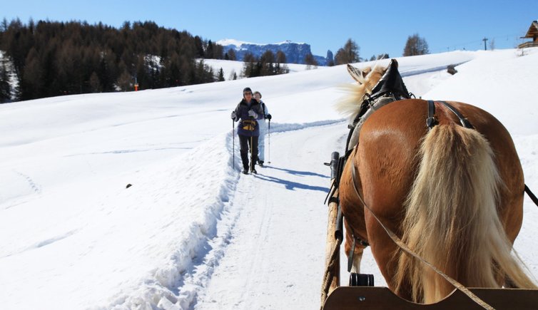 RS Skigebiet Seiser Alm Pferd Kutsche Schnee