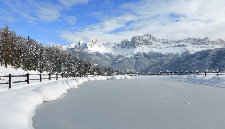 RS wuhnleger weiher tiers winter blick auf rosengarten