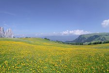 seiser alm seiseralm sommer panorama new