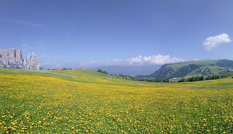 seiser alm seiseralm sommer panorama new